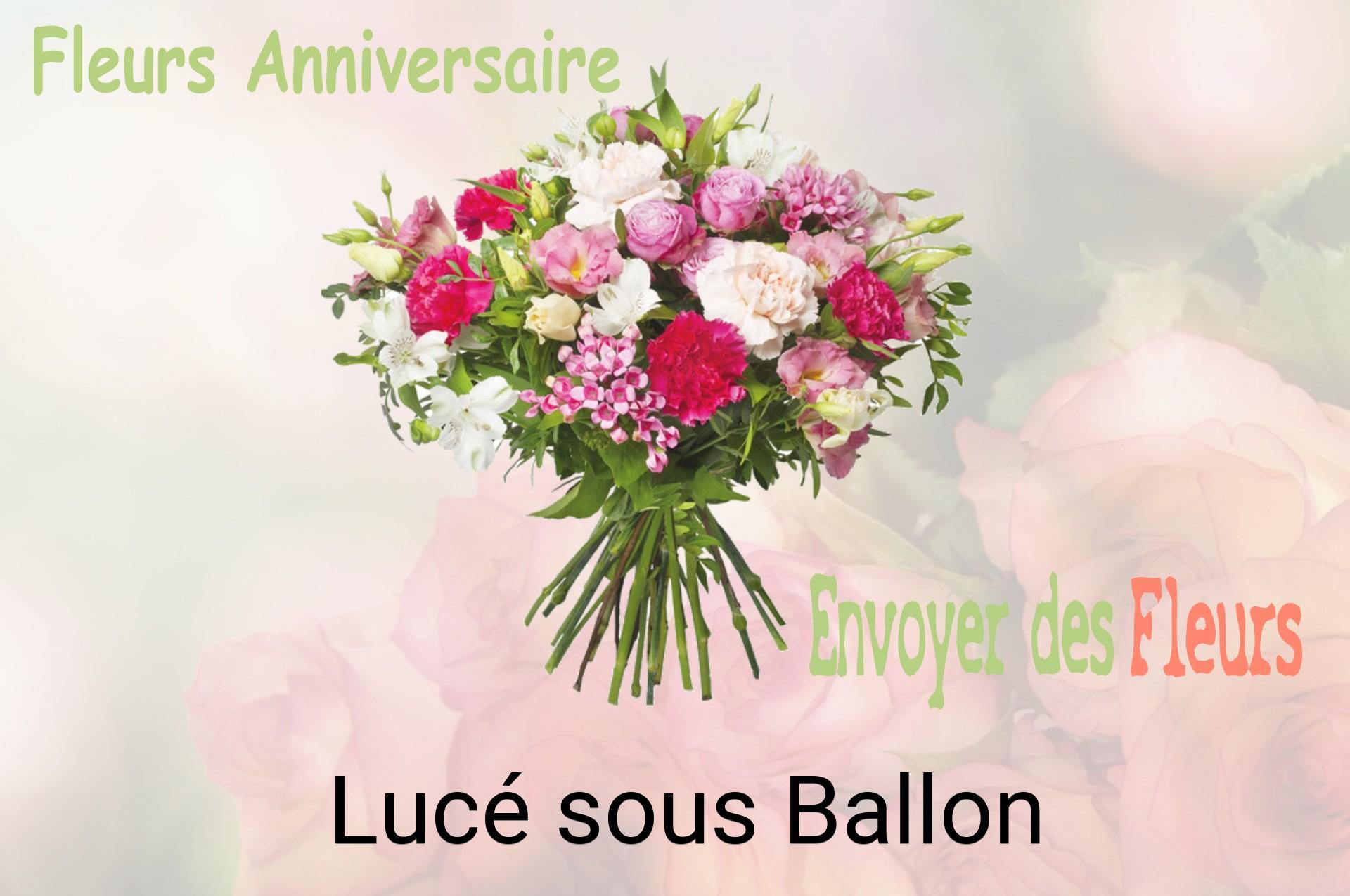 Bouquet de fleurs d’anniversaire livré à Lucé-sous-Ballon