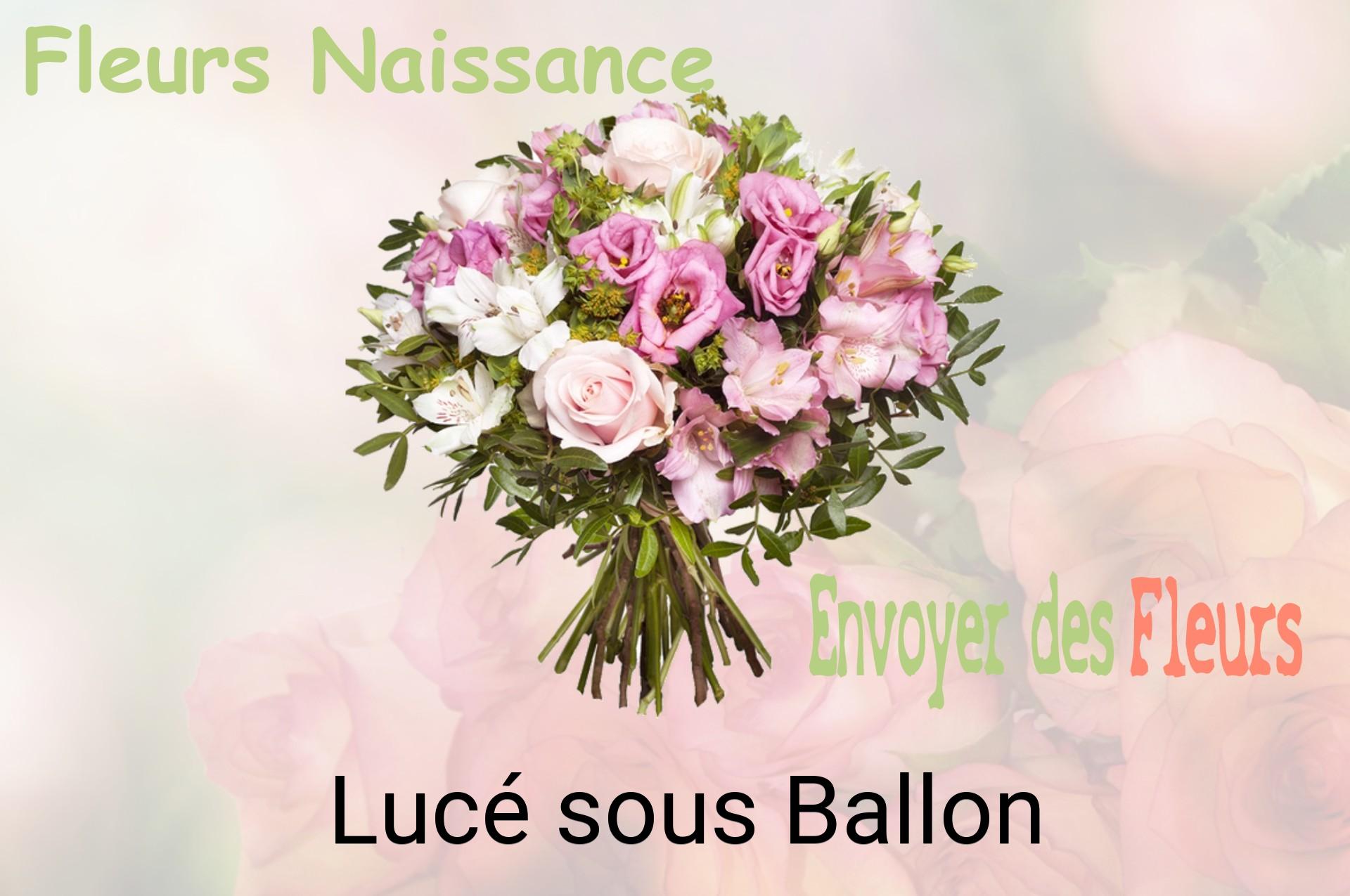Bouquet de fleurs de naissance livré à Lucé-sous-Ballon