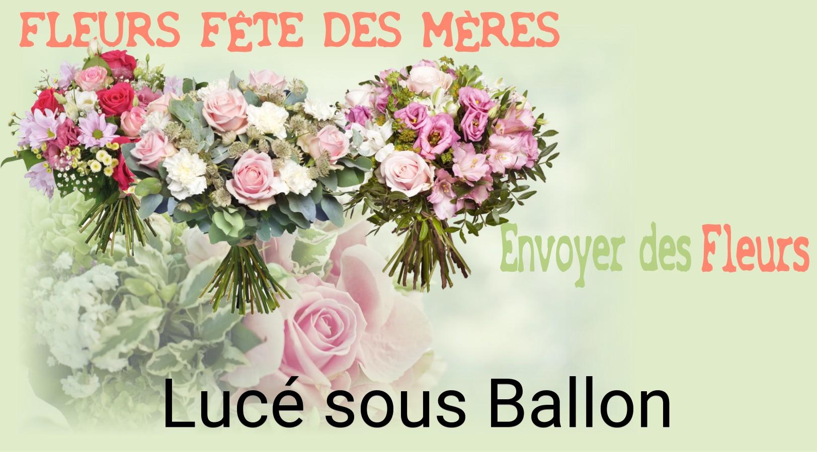 Bouquet de Fête des Mères livré à Lucé-sous-Ballon